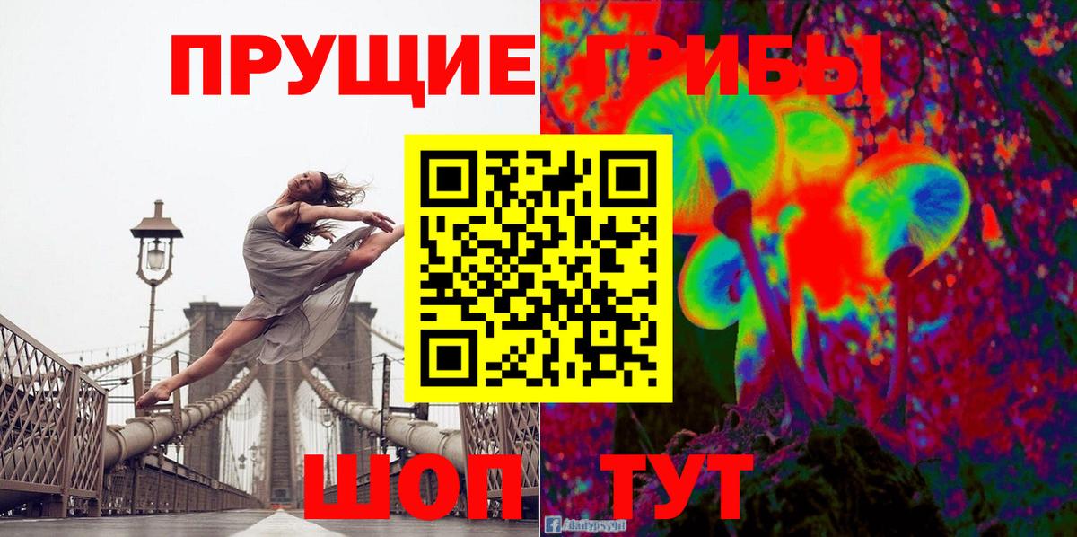 Пыть-Ях  Псилоцибиновые грибы MAGIC MUSHROOMS  Псилоцибиновые грибы Psilocybine cubensis  наркотики  Вход с VPN 